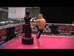 Freestanding Dummy „Punchboy“ – Bild 2