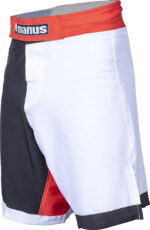MMA Shorts – Bild 3