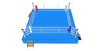 Boxring (IBA approved) – Bild 6