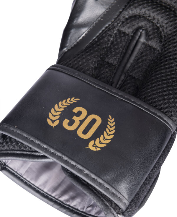 Boxhandschuhe „30 YEARS“ – Bild 3