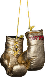 Mini-Boxhandschuhe „TOP TEN“