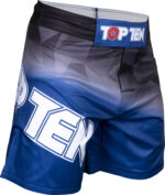MMA-Shorts „PRISM“
