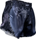Kickbox-Shorts „Vectory“