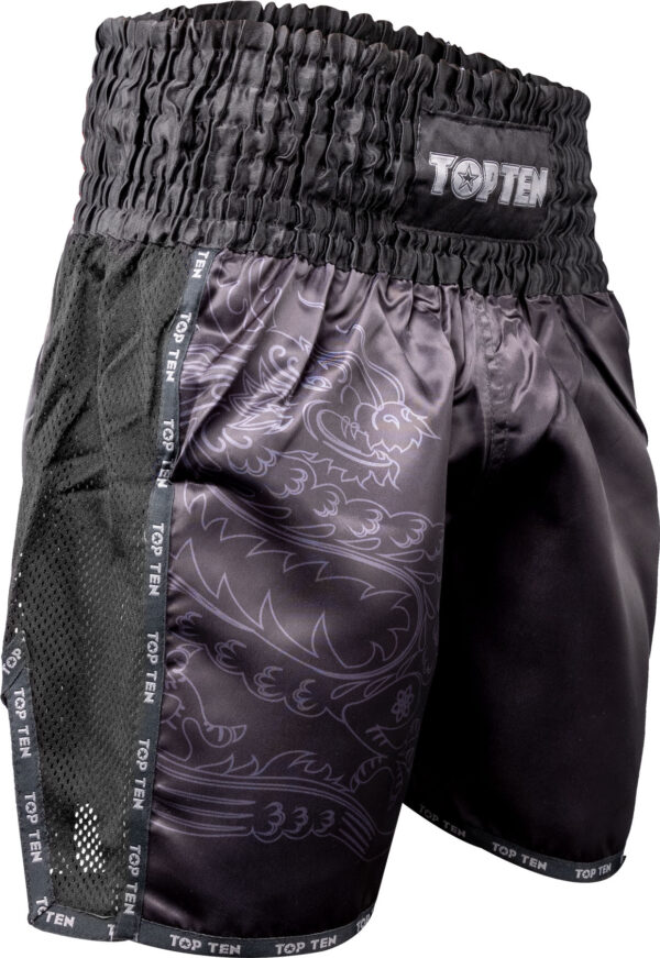 Kickbox-Shorts „Dragon“ – Bild 5