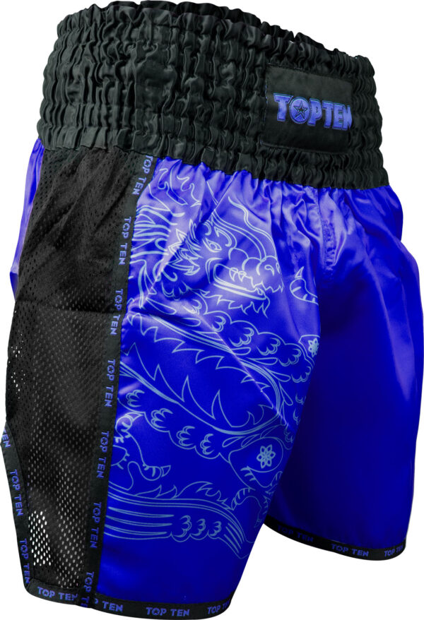 Kickbox-Shorts „Dragon“ – Bild 2