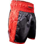 Kickbox-Shorts „Dragon“