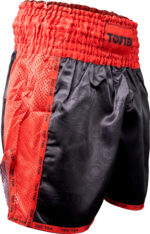 Kickbox-Shorts „Dragon“