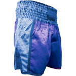 Kickbox-Shorts „Dragon“ – Bild 7