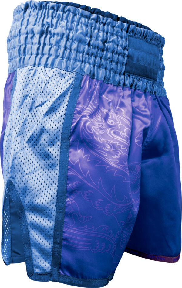 Kickbox-Shorts „Dragon“ – Bild 7