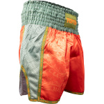 Kickbox-Shorts „Dragon“ – Bild 3