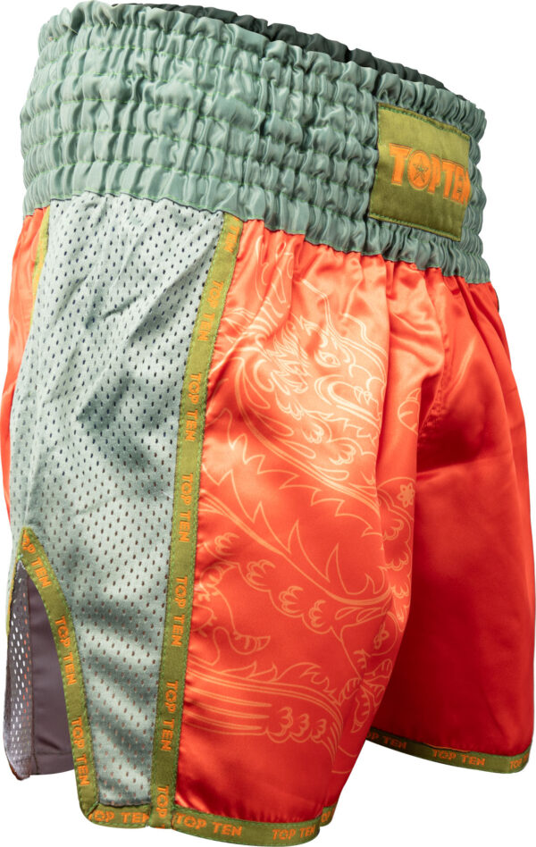 Kickbox-Shorts „Dragon“ – Bild 3