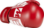 Boxhandschuhe Manus „WAKO ProGrip“ – Bild 2