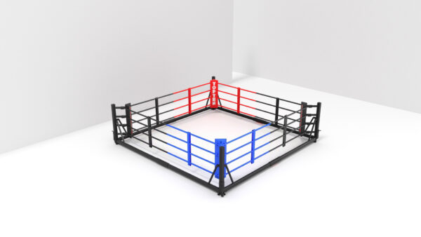 „Take-out“ Boxring – Bild 4