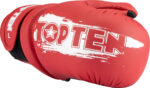 Pointfighter „Power Ink” – Bild 2