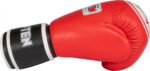 Boxhandschuhe „Legacy25“ – Bild 3