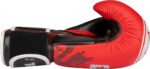 Boxhandschuhe „Legacy25“ – Bild 4