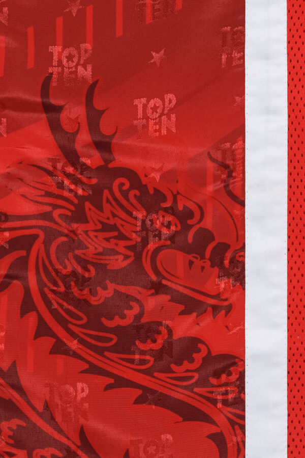 Kickboxhose „Legacy25“ – Bild 6