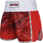 Kickbox-Shorts „Legacy25“ – Bild 3