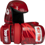 Pointfighter „Legacy25“