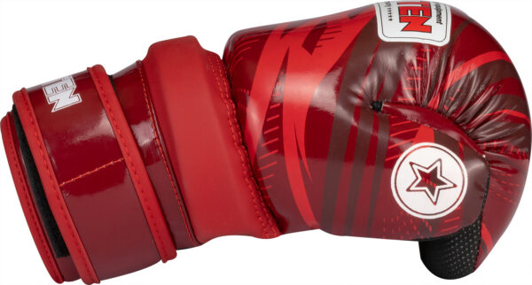 Pointfighter „Legacy25“ – Bild 3