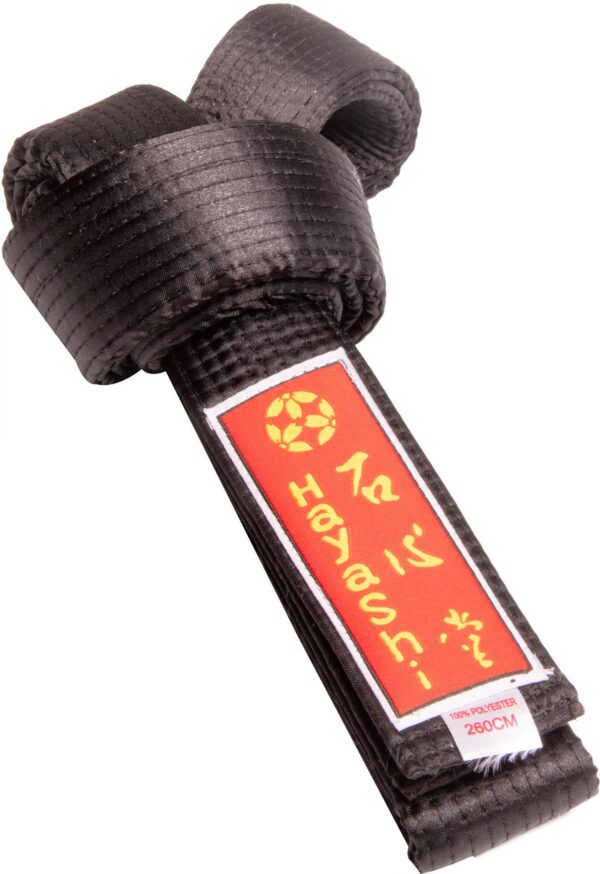 hayashi-budog_rtel-black-0571-6.jpg Budogürtel in Glanzoptik – Bild 1