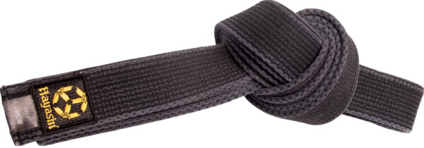 Budogürtel „Stone washed“ – Bild 2