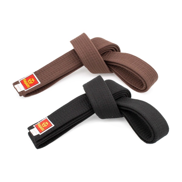 hayashi-martial-arts-belt-0501_1-4.jpg Budogürtel – Bild 2