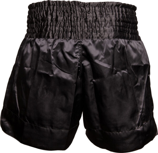Kickbox-Shorts „Shadow“ – Bild 4
