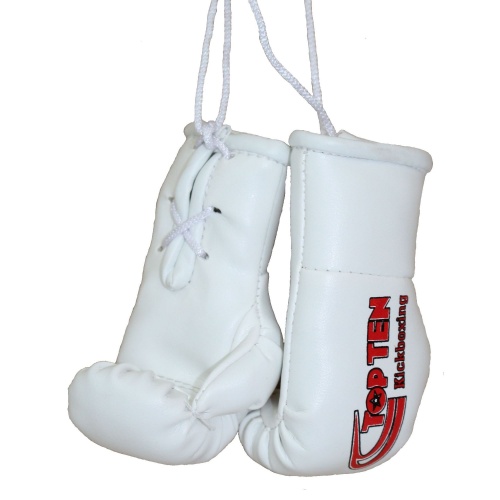 Mini-Boxhandschuhe „TOP TEN Kickboxing“