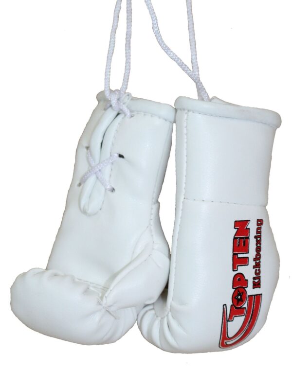top-ten-mini-boxing-gloves-top-ten-kickboxing-921-6.jpg Mini-Boxhandschuhe „TOP TEN Kickboxing“ – Bild 1