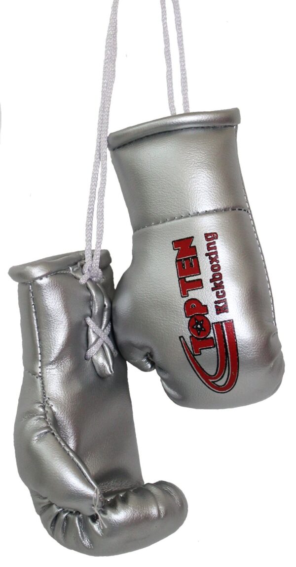 Mini-Boxhandschuhe „TOP TEN Kickboxing“ – Bild 2