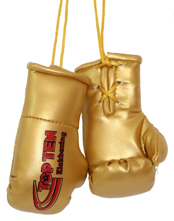 Mini-Boxhandschuhe „TOP TEN Kickboxing“ – Bild 3