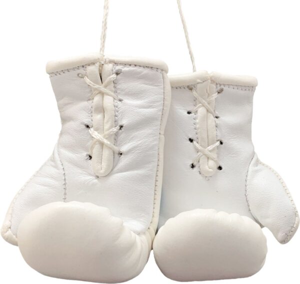Mini-Boxhandschuhe „WAKO Pro“ – Bild 2