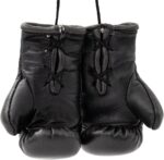 Mini-Boxhandschuhe „WAKO Pro“ – Bild 4
