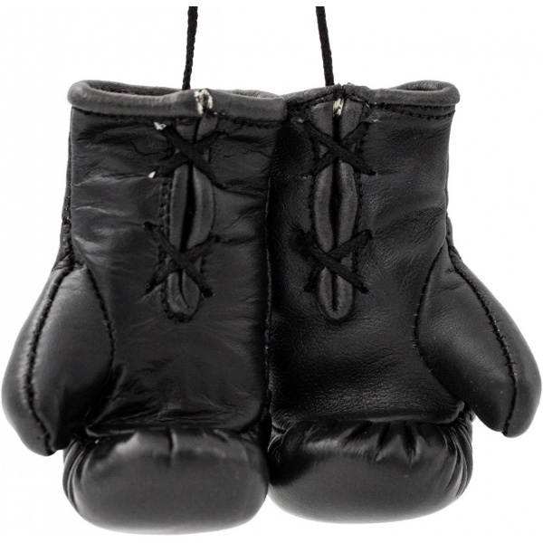 Mini-Boxhandschuhe „WAKO Pro“ – Bild 4