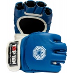 MMA Handschuhe „Striking C-Type“