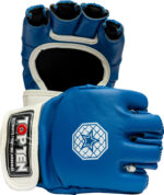MMA Handschuhe „Striking C-Type“