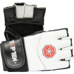 Ultimate-Fight-Handschuhe „E-Flexx“