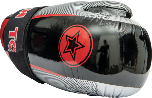 Pointfighter Glossy „Star & Stripes“ – Bild 2
