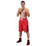 Shorts „Half Stripe“