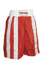 Shorts „Two Stripes“ – Bild 2