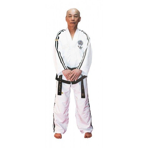 Taekwon-Do Grandmaster Dobok „Premium Gold“ (7. - 9. Dan) (ITF approved) – Bild 8